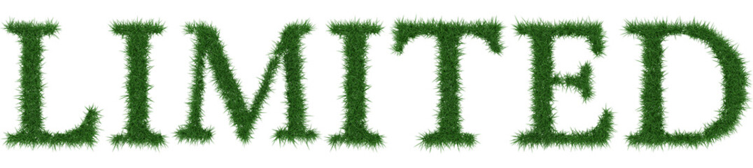 Limited - 3D rendering fresh Grass letters isolated on whhite background.