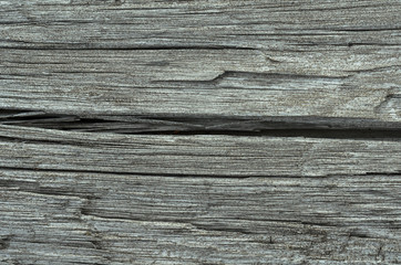 Texture of old wood covered with cracks.