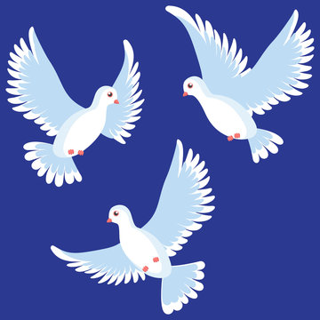 Vector illustration of beautiful shiny white dove flying way up. Vector illustration isolated on . background