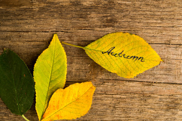Naklejka na ściany i meble Colorful fallen leaves with inscription AUTUMN on the wooden background