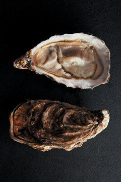 huitre