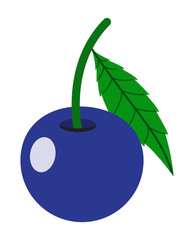 Blue Cherry Vector