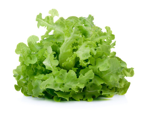 fresh green lettuce salad isolated on white