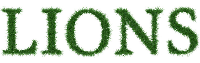 Lions - 3D rendering fresh Grass letters isolated on whhite background.