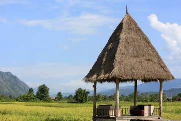 Fototapeta na wymiar Rice fields with stunning mountain back drop.