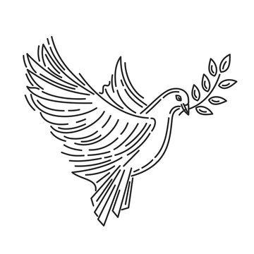 Pigeon of peace with an olive branch in its beak. Dove of peace. Symbol of peace. Line icon design. Vector illustration