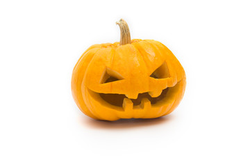 pumpkin white background ,halloween  isolated.