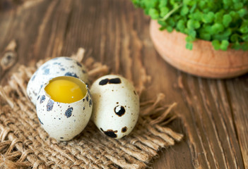 Obraz premium Quail eggs on jute napkin on a wooden table with green sprouts in small bowl