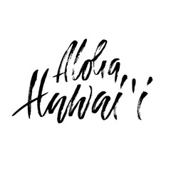 Hand drawn phrase Aloha Hawaii. Modern dry brush lettering design. Vector illustration. Handwritten inscription.