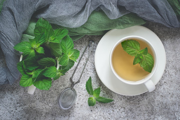Natural mint tea and fresh mint leaves on a gray background © colnihko