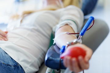 young caucasian woman with toy heart in the hand donates blood for saving lives and medical research - obrazy, fototapety, plakaty