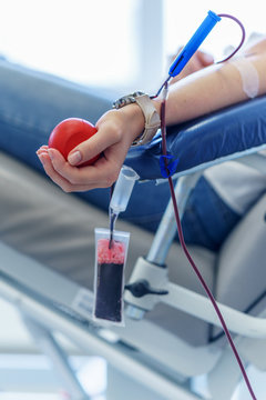 young caucasian woman with toy heart in the hand donates blood for saving lives and medical research