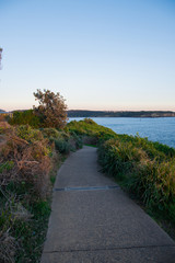 An empty walkway in Sydney park in the coastline.