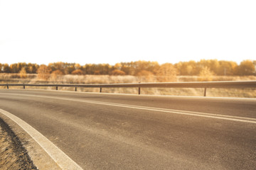 autumn road 