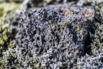 A lava stone with characteristic holes and color, Iceland.