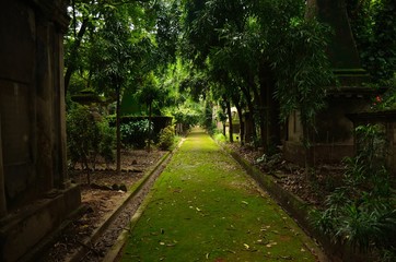 Fototapeta premium South Park Street Cemetary, Kolkata