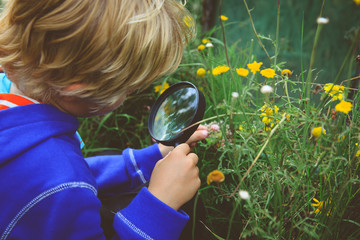 Little boy examining flowers using magnifying glass