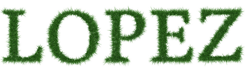 Lopez - 3D rendering fresh Grass letters isolated on whhite background.