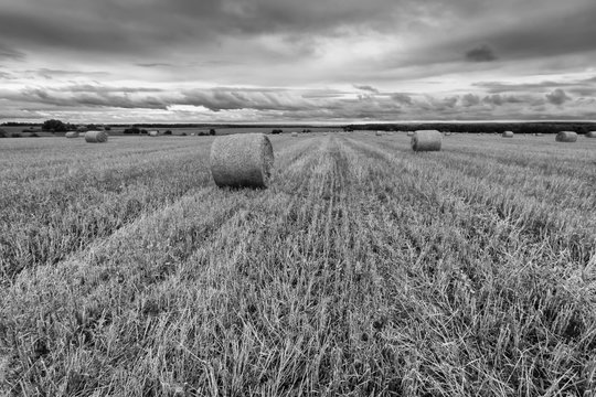 Haystacks on the field in Autumn season.