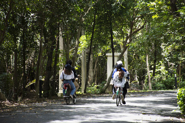 Travelers people walking and biking bicycle in Sri Nakhon Khuean Khan Park and Botanical Garden or khung bang kachao park