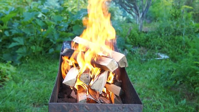 Birch firewood burns