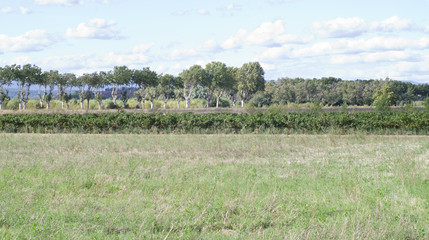 Paysage sud de la France