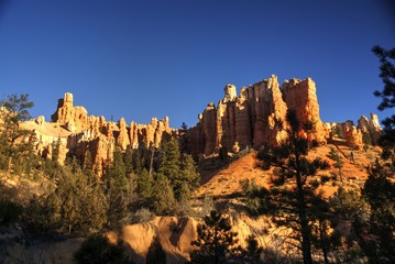 Naklejka premium Hoodoos on the Mossy Cave Trail in Bryce Canyon National Park