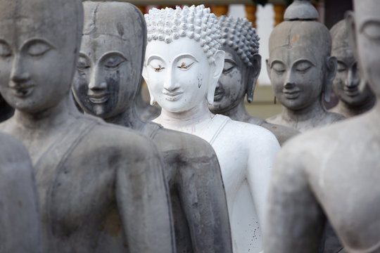 row of buddha statue as background.