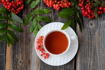 Delicious cup of tea and Rowan berries on a wooden table
