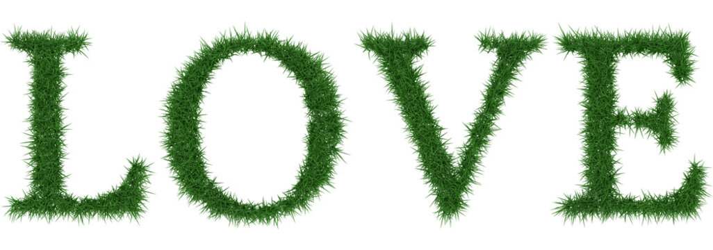 Love - 3D rendering fresh Grass letters isolated on whhite background.