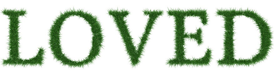 Loved - 3D rendering fresh Grass letters isolated on whhite background.