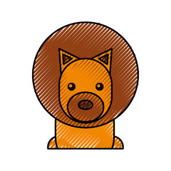 cute lion cartoon baby animal vector illustration