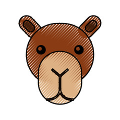cute head camel cartoon animal icon vector illustration