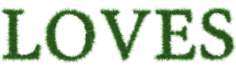 Loves - 3D rendering fresh Grass letters isolated on whhite background.