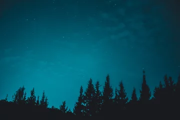 Rolgordijnen Blauwe donkere nachtelijke hemel met veel sterren boven een veld met bomen © Ievgenii Meyer