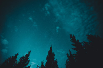 Fototapeta na wymiar Blue dark night sky with many stars above field of trees