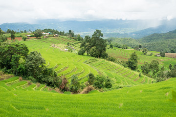 Fototapeta premium Wonderful rice terraces fields in Thailand