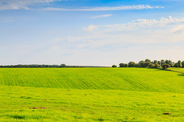 Fototapeta premium Summer Sussex Landscape