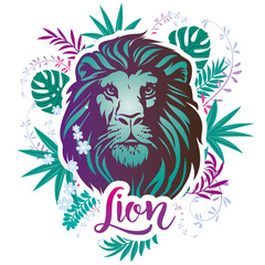 Vector illustration Lion head. Cool lion head decorative flat design element.