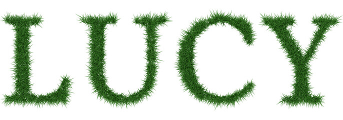 Lucy - 3D rendering fresh Grass letters isolated on whhite background.