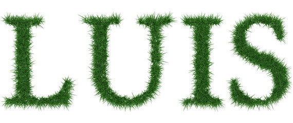 Luis - 3D rendering fresh Grass letters isolated on whhite background.
