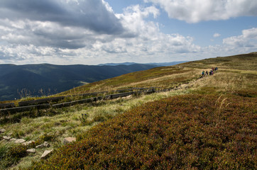 Fototapeta na wymiar Bieszczady National Park. Carpathian mountains landscape. 