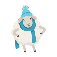 Cute white sheep character wearing blue knitted hat and scarf, funny humanized animal vector Illustration