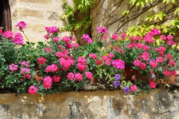 Fototapeta na wymiar A flower balcony with geranium