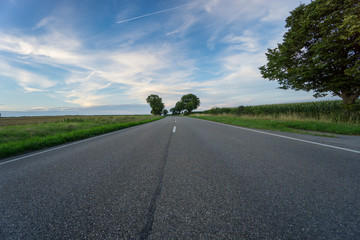Curved road through nature and corn fields in colorful light of dawn and blue sky