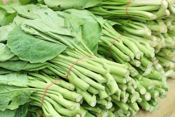 kale at the market
