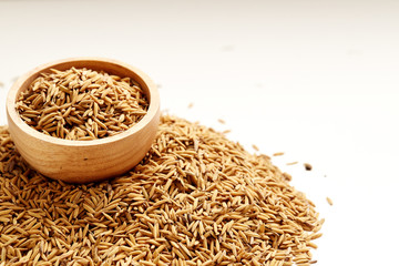 Brown paddy rice closed up