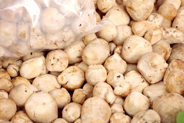 fresh mushrooms at market
