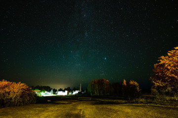 colorful milky way galaxy seen in night sky through black trees