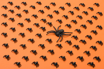 Halloween background, black spiders on the orange background